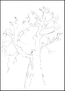 Three-Minute Sketch Division. The Tiger: A Keystone Elder. The two upper trunks are each the size of an average, tappable tree.