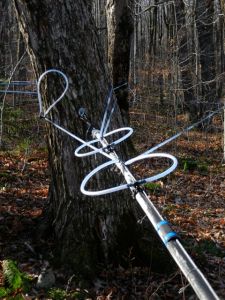  Today, loop-de-loops in the sun on a Herbie line.