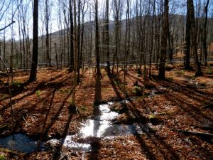 Where are the gray skies of November? What with fall tubing maintenance to complete, no one is complaining. This shot is on K4. You can see the ridge of Mt. Bend on the horizon.