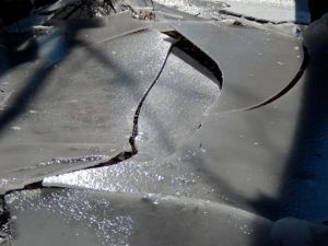 The week of the ice.