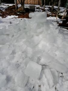 and heaved it out the door. Since sugar doesn't freeze, the sap under the ice was ultra sweet.