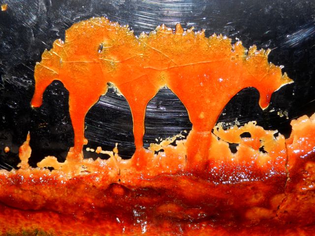 A new experience making maple sugar: the syrup burned and smoked even at a low temp. What do you see in it?