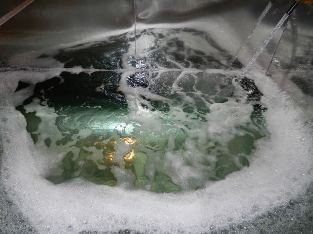 dscn8009-11-50-35-am